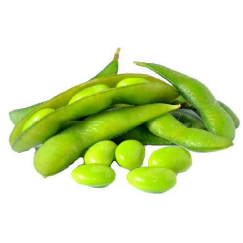 Edamame Beans PNG Clipart