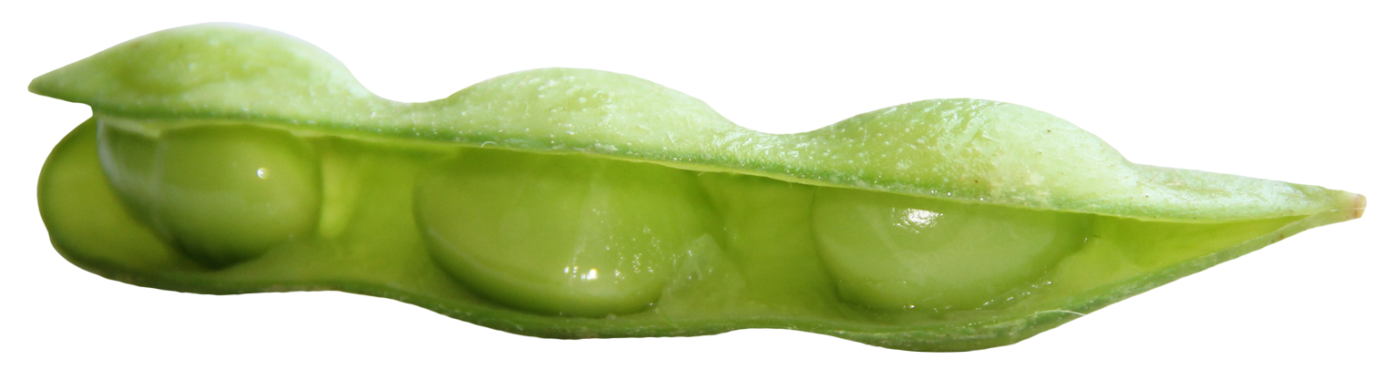 Edamame Beans PNG HD