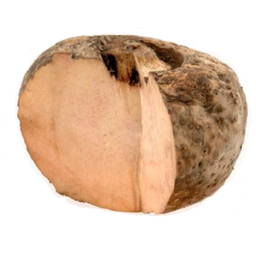 Elephant Root Yam PNG
