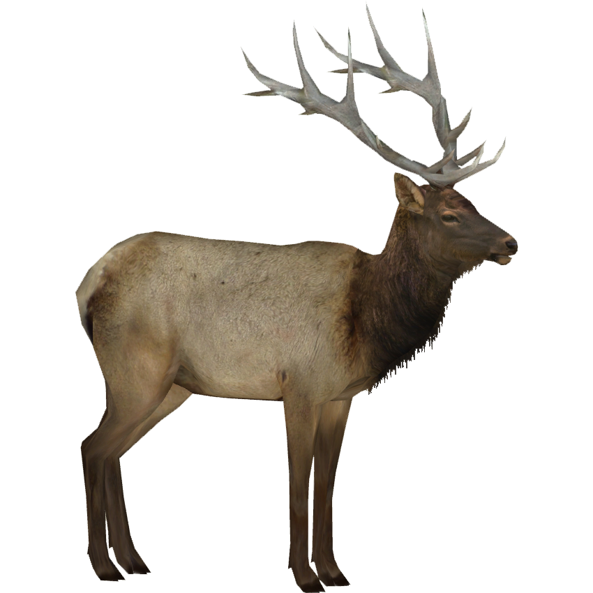 Elk PNG Background Image