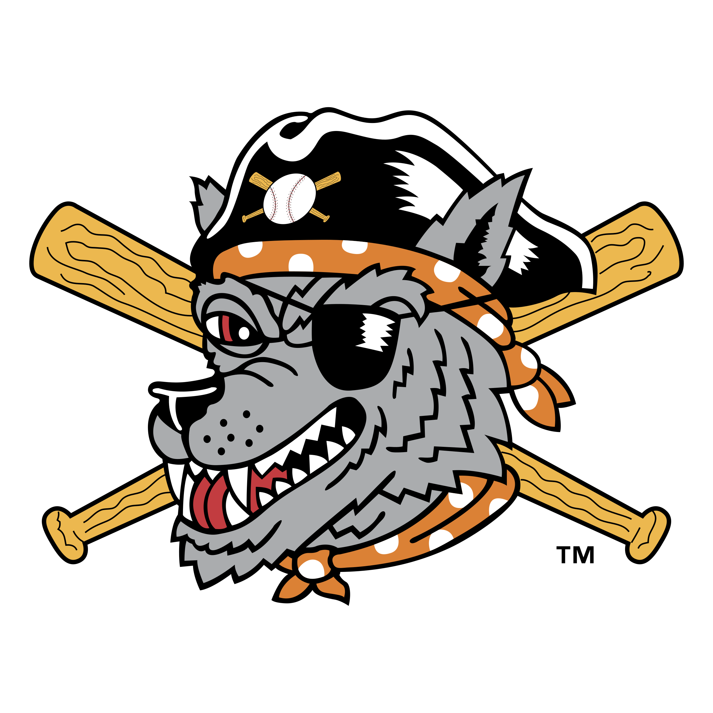 Erie SeaWolves PNG