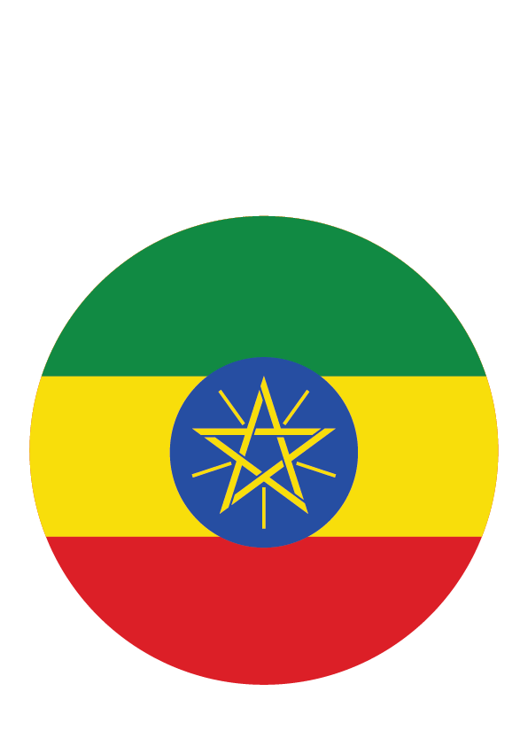 Ethiopia Flag PNG Isolated Photos