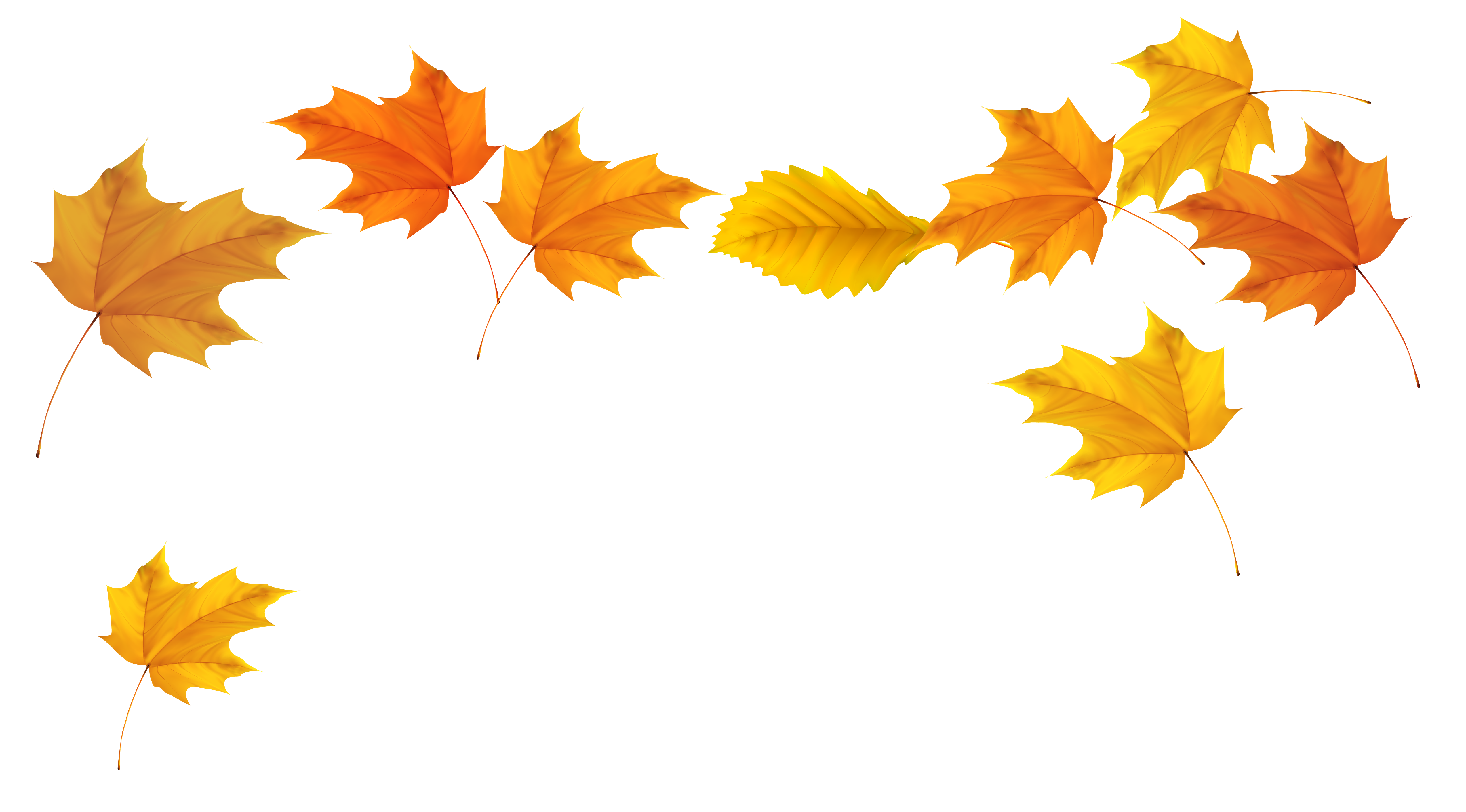 Fall PNG Free Download