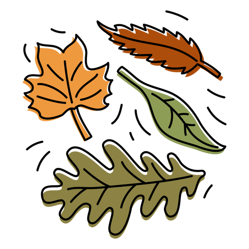 Fall PNG Isolated HD