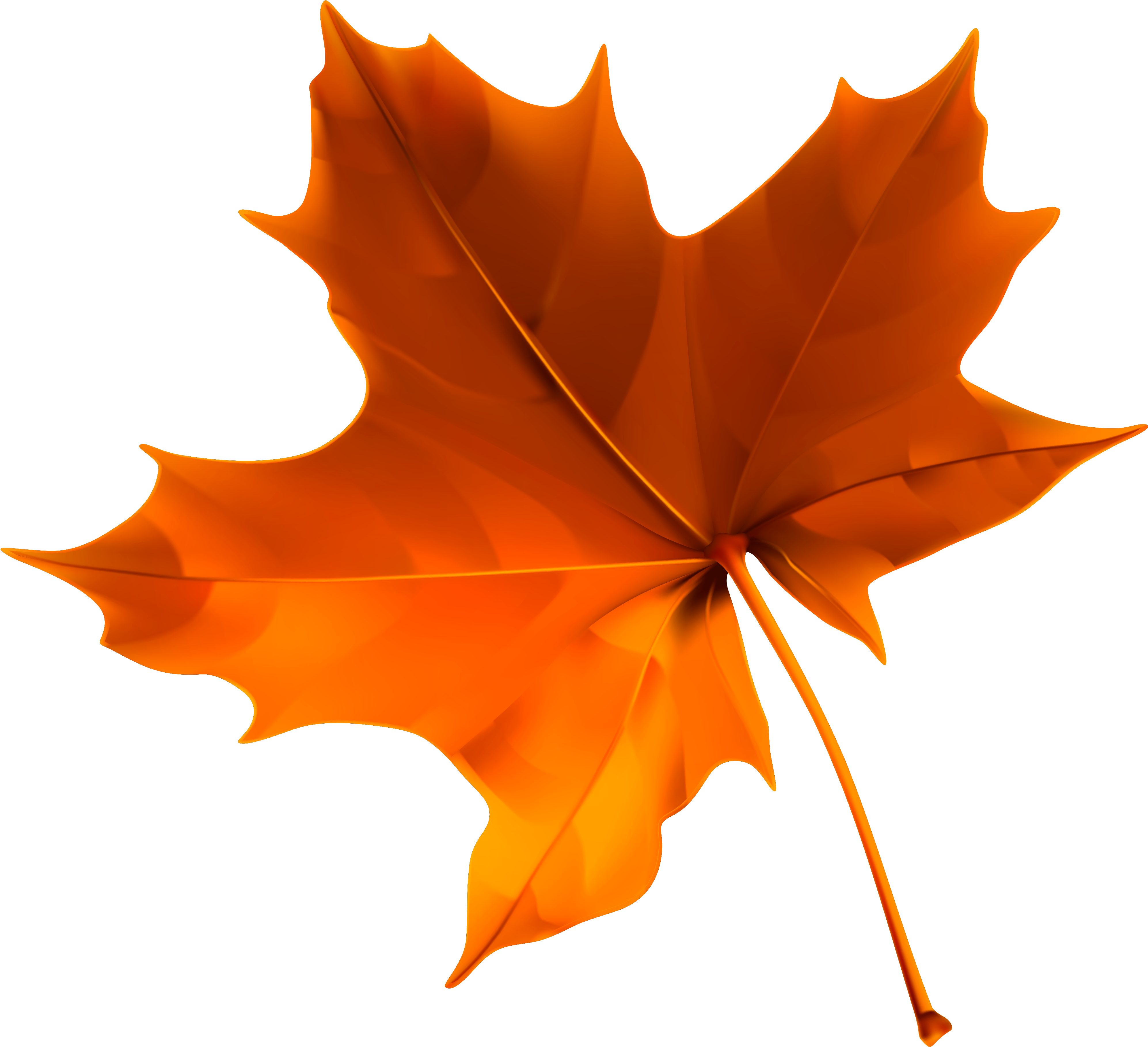 Fall PNG Isolated Image