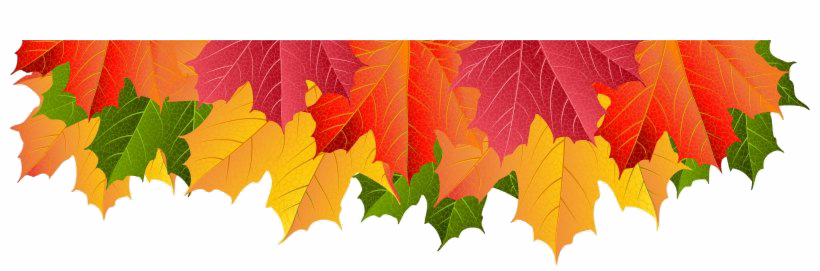 Fall PNG Isolated Pic