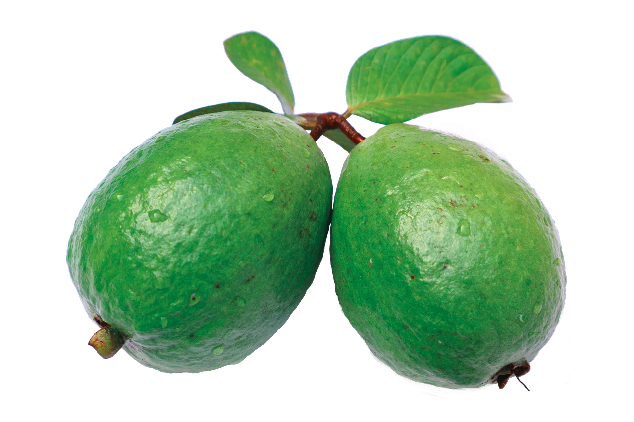 Feijoa PNG Isolated File