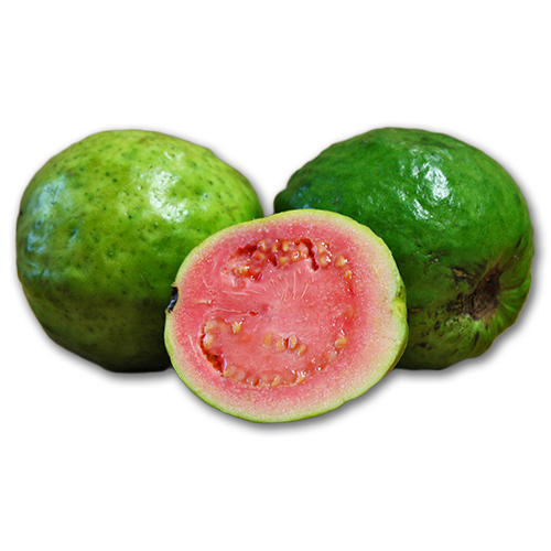Feijoa PNG Isolated Pic