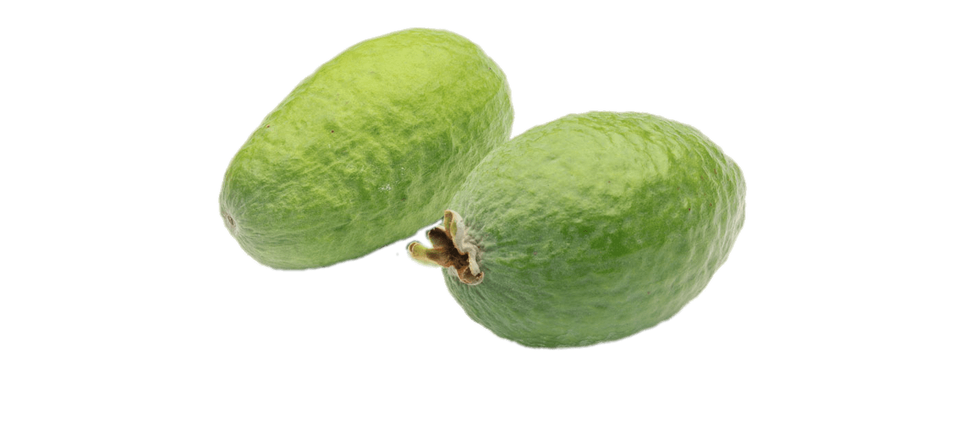 Feijoa PNG Pic