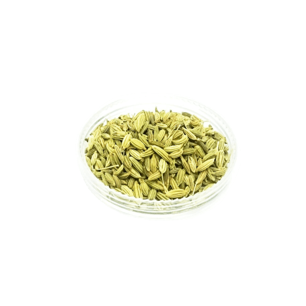 Fennel PNG Isolated Photos
