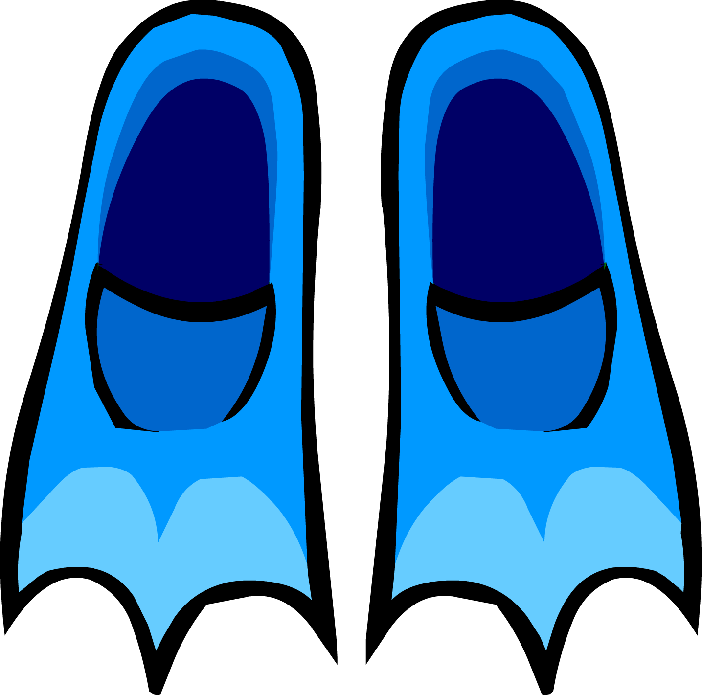 Flippers PNG Isolated Photo