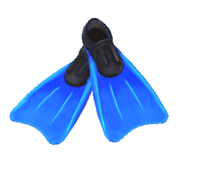 Flippers PNG Photo