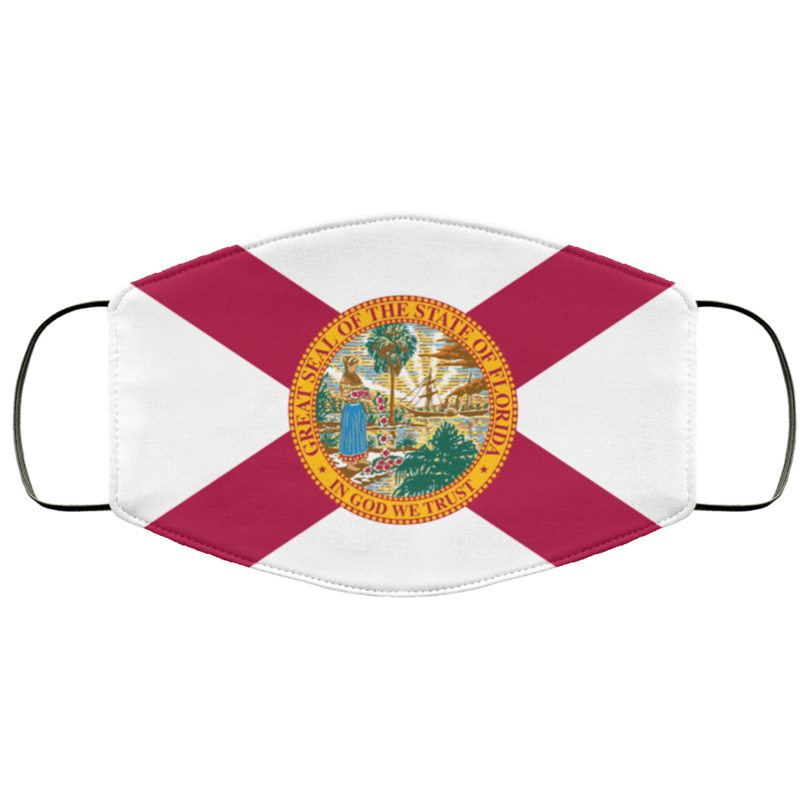 Florida Flag PNG Isolated Pic