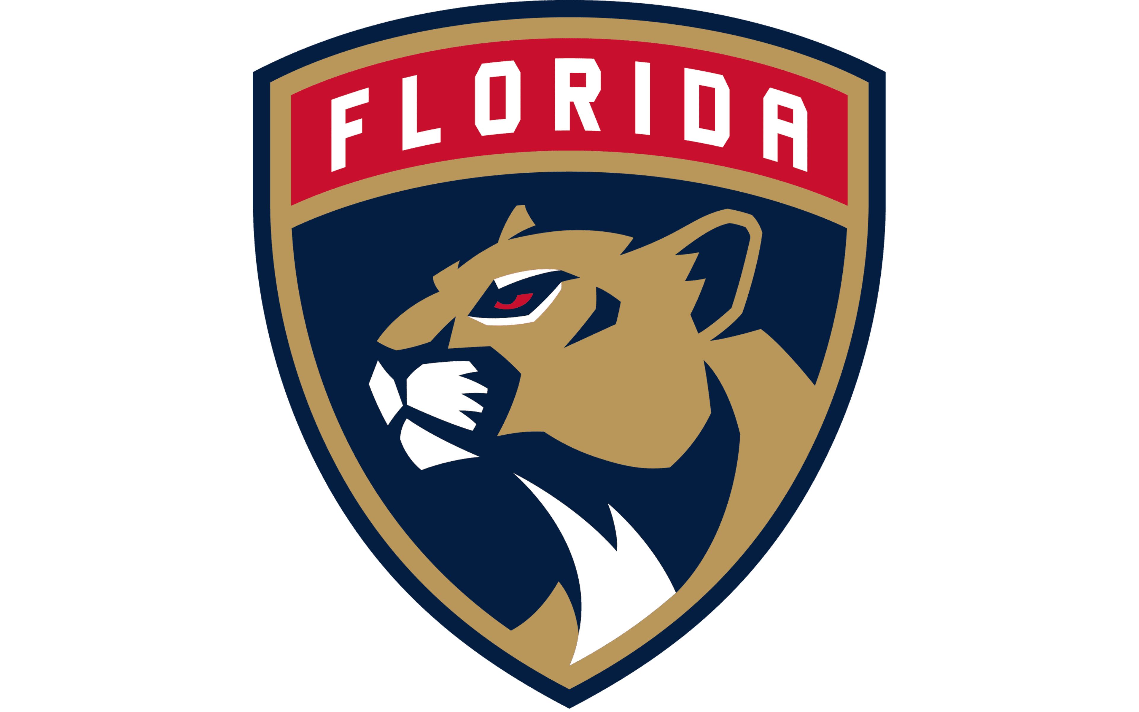 Florida Panthers PNG Isolated HD