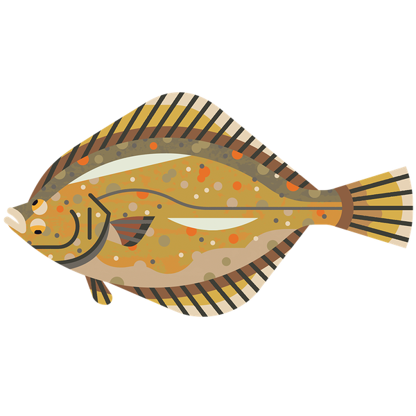 Flounder PNG HD Isolated