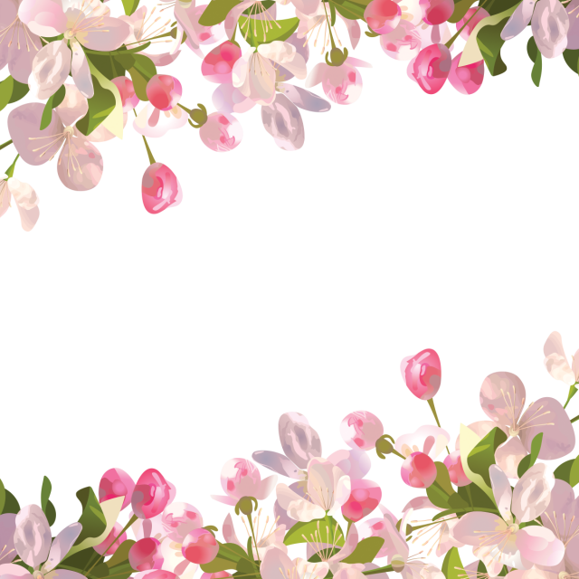 Flower Colorful PNG File