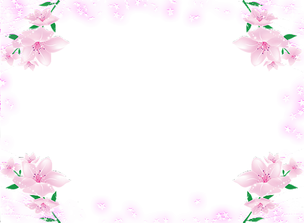 Flower Colorful PNG Pic