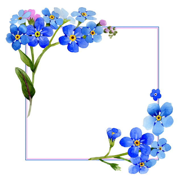 Flower Colorful PNG Picture