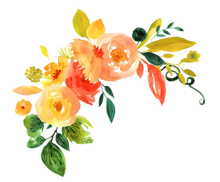 Flower PNG Background Image