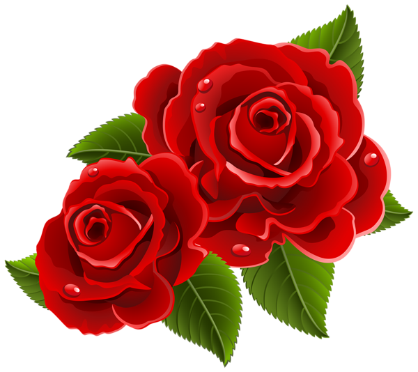 Flower PNG Isolated Photo