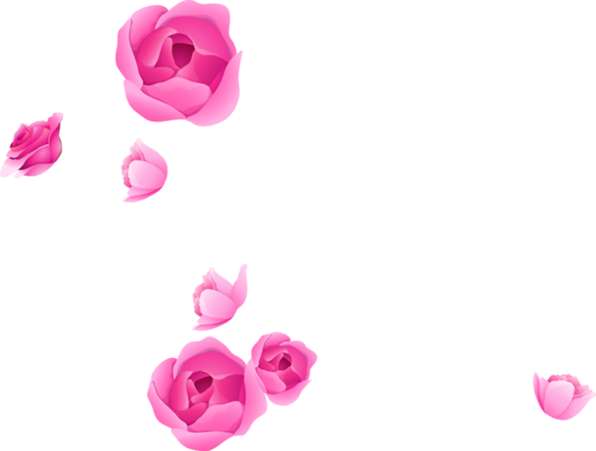 Flower PNG Isolated Photos