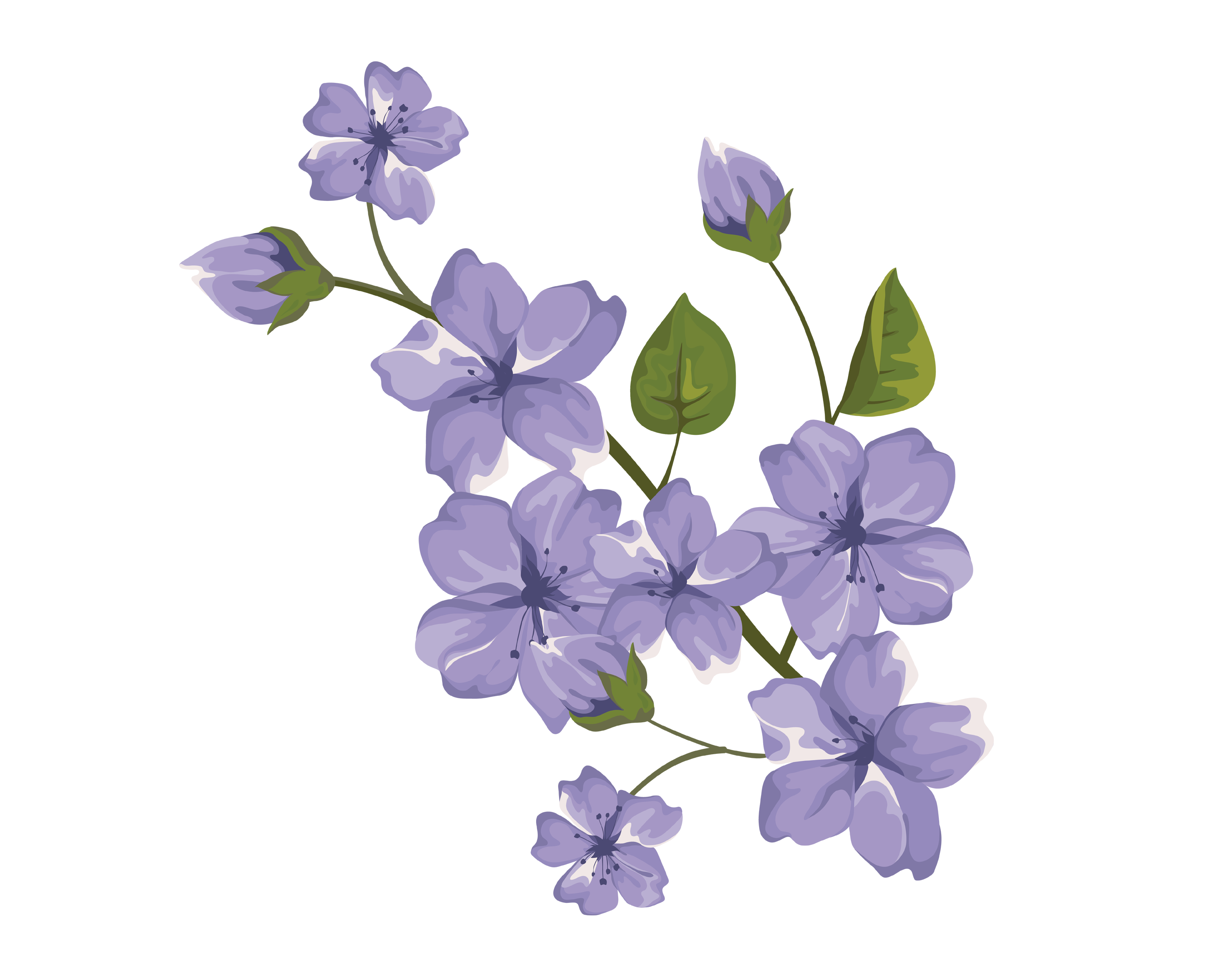 Flower PNG Transparent