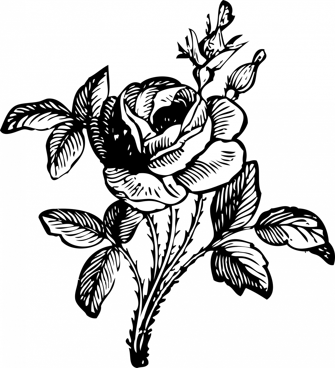 Flowers For Drawing PNG Picture