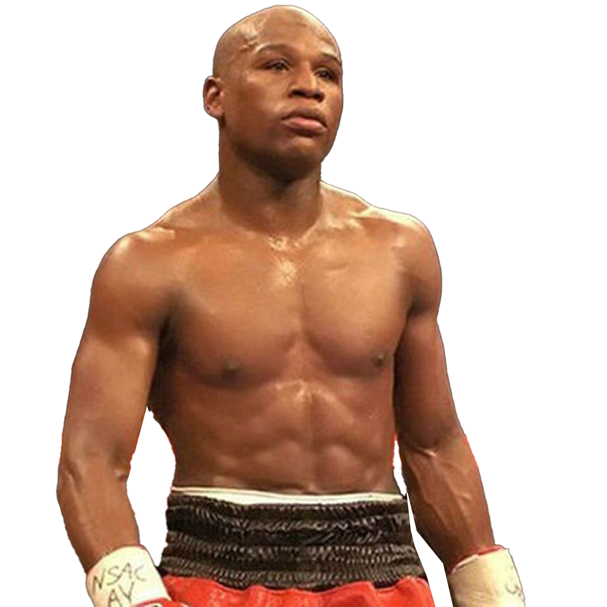 Floyd Mayweather PNG Isolated File