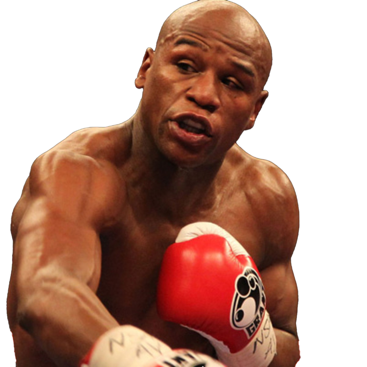 Floyd Mayweather PNG Isolated Pic