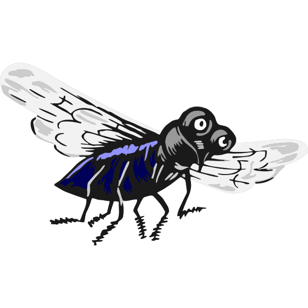 Fly Insect PNG Image
