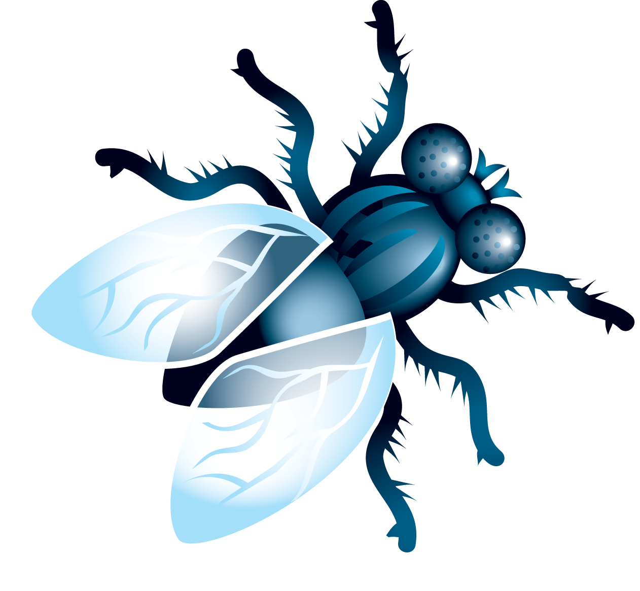 Fly Insect PNG Isolated Image
