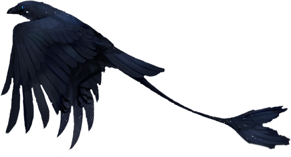Flying Crow PNG HD