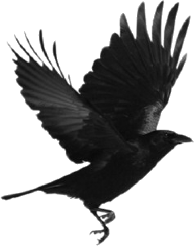 Flying Crow PNG