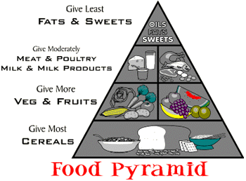 Food Pyramid PNG