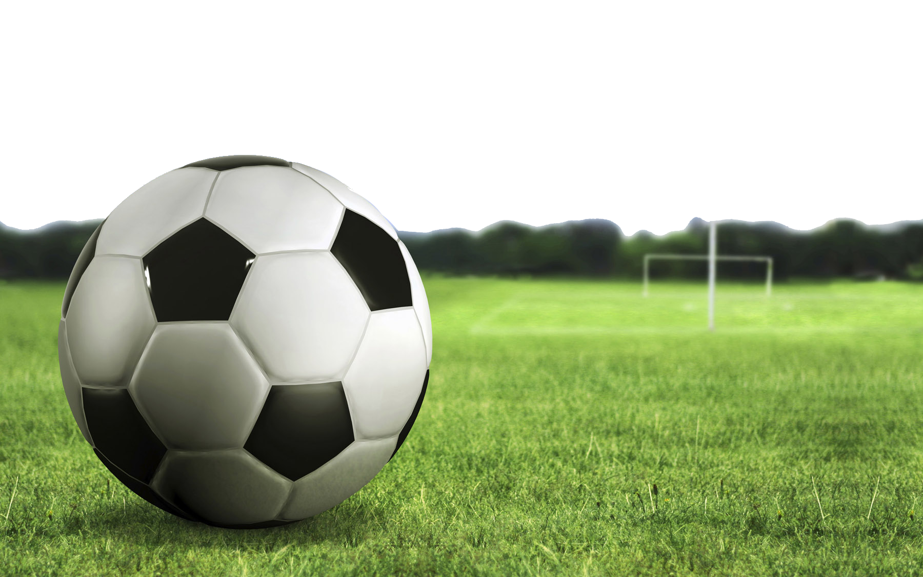Football Goal Net PNG Isolated Transparent Image