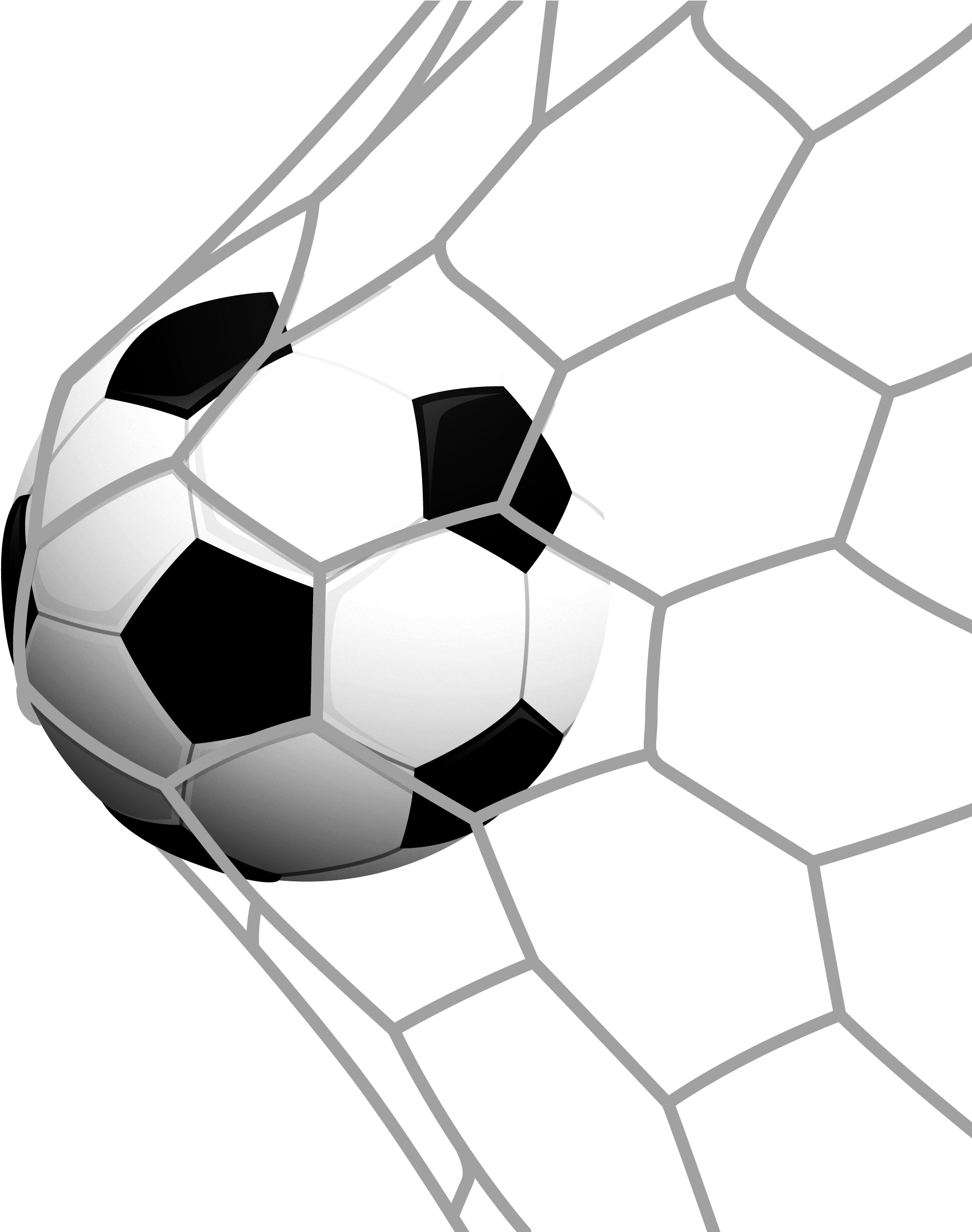 Football Goal Net PNG Isolated Transparent Picture