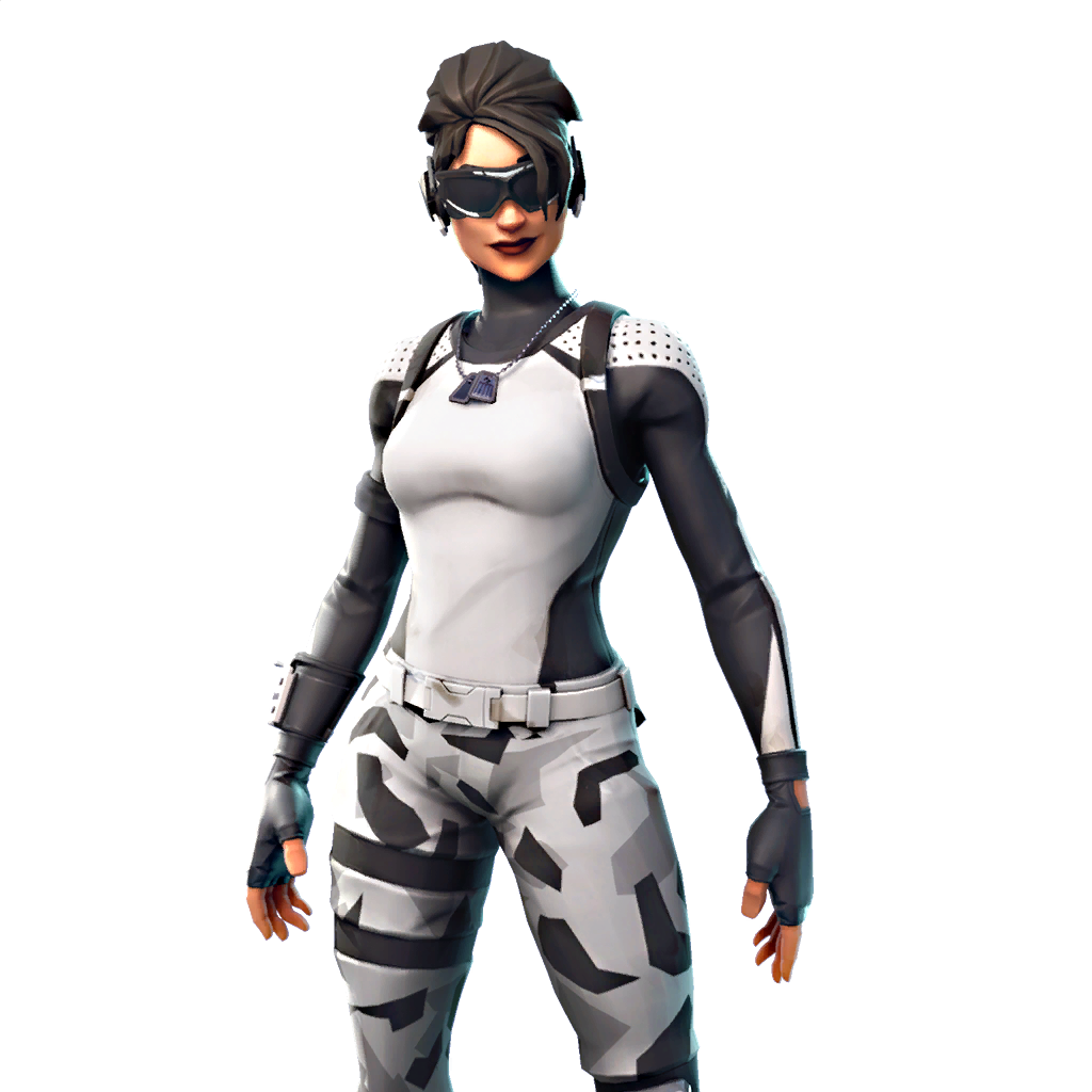 Fornite Aerobic Assassin Download PNG Image