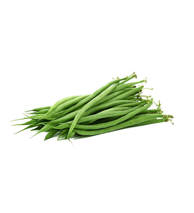 French beans Download PNG Image