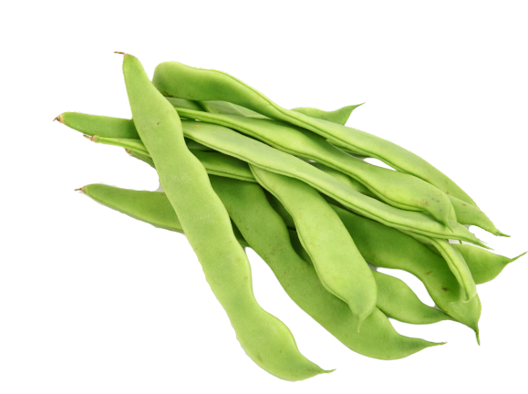 French beans PNG Isolated Image
