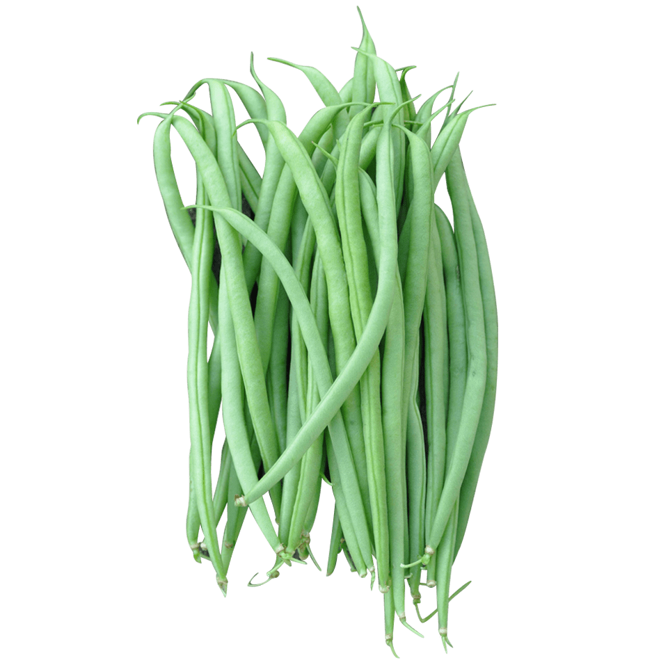 French beans PNG Isolated Photos