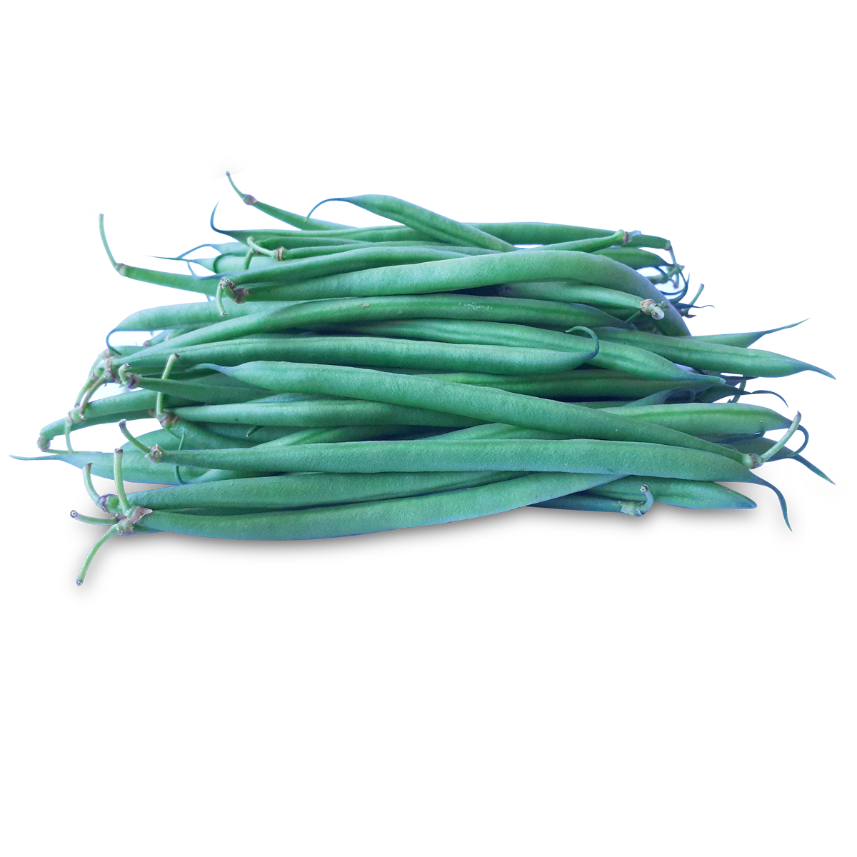 French beans PNG Isolated Pic