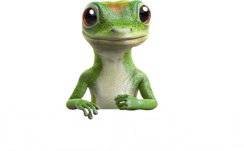 GEICO PNG Clipart