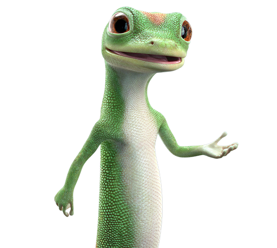 GEICO PNG File
