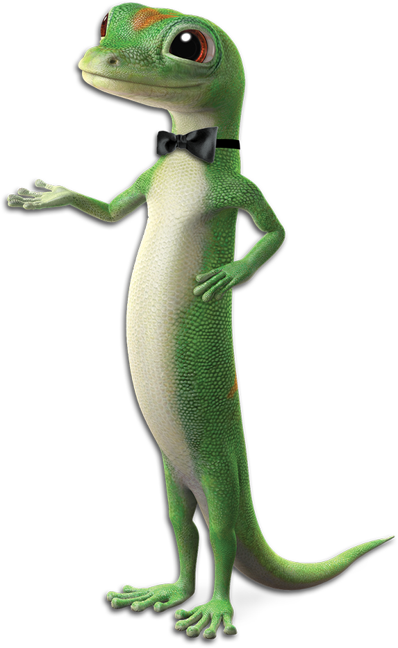 GEICO PNG Isolated HD