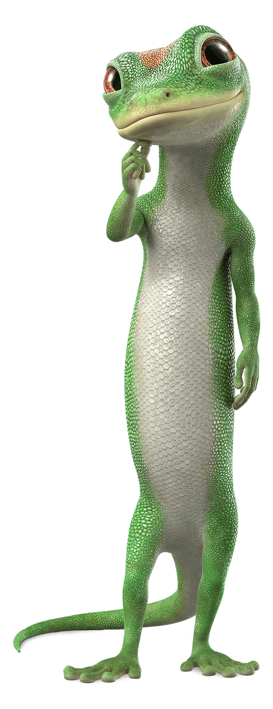 GEICO PNG Isolated Pic