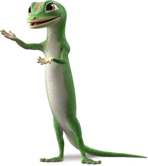 GEICO PNG Photo