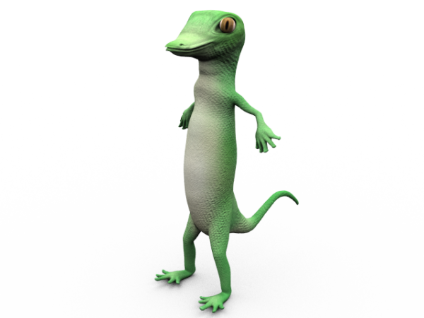 GEICO PNG Pic
