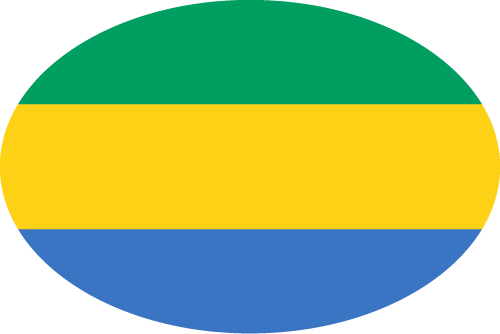 Gabon Flag PNG
