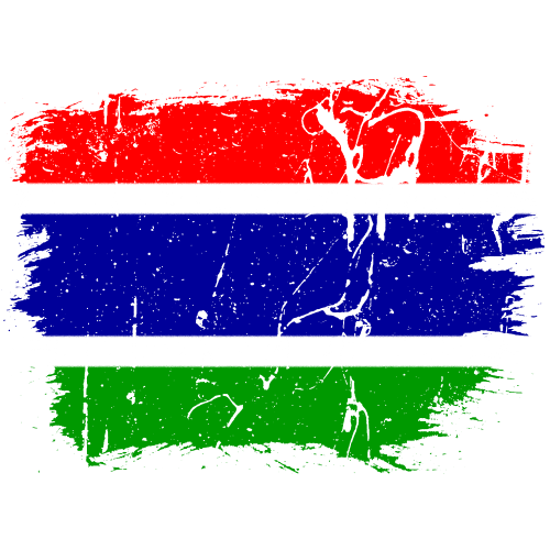 Gambia Flag PNG Isolated HD