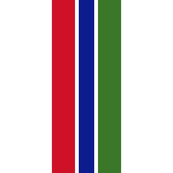Gambia Flag PNG Picture